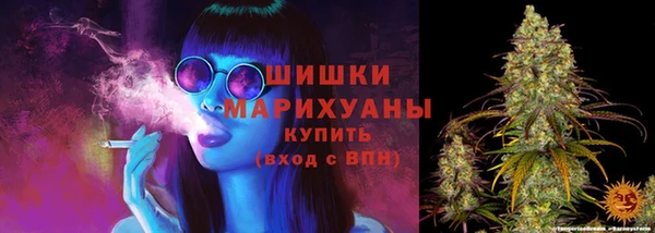 крисы Алагир